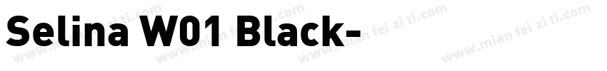 Selina W01 Black字体转换